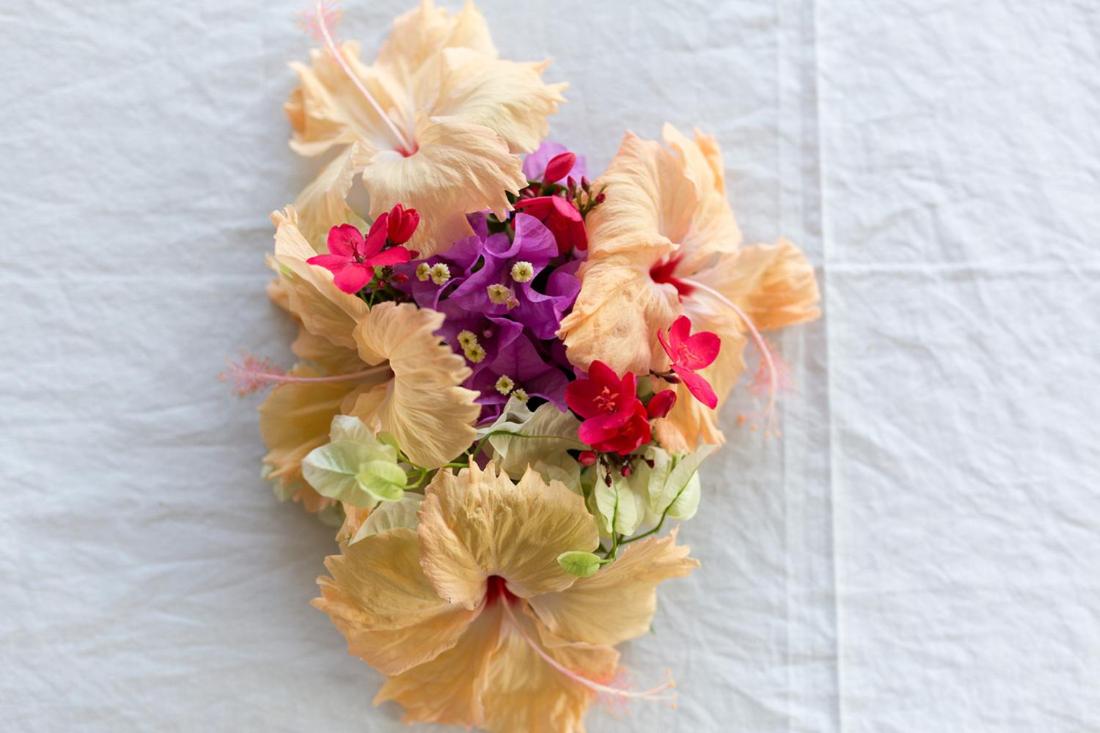 Funky Fish Beach & Surf Resort - 5