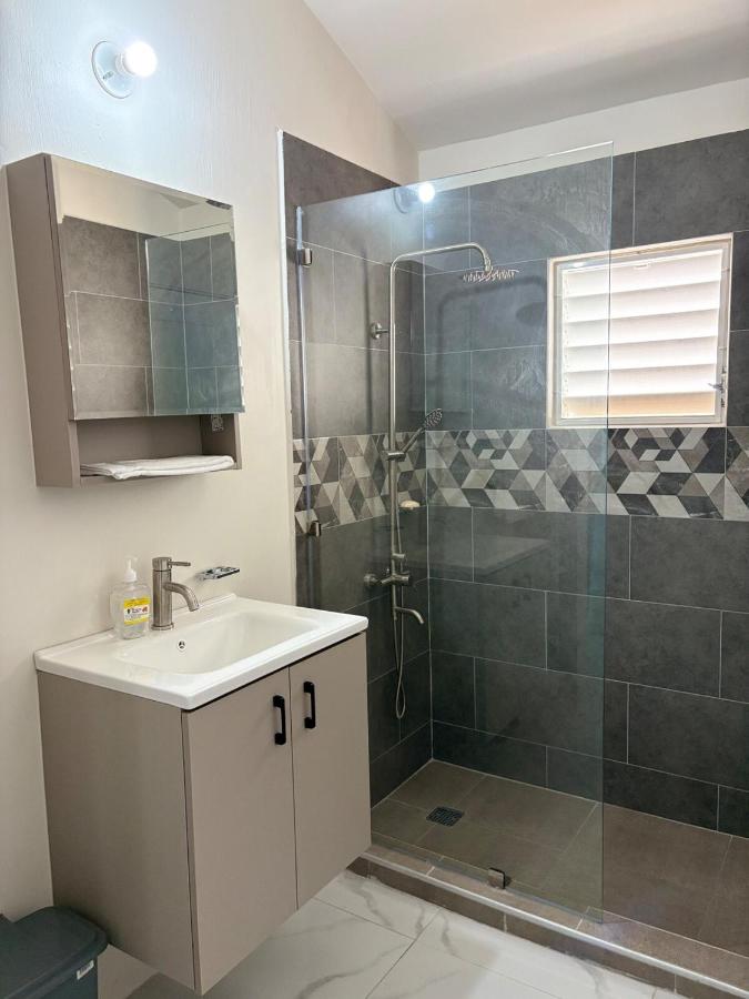 StylishLuxury Stay-Phoenix Park - 3