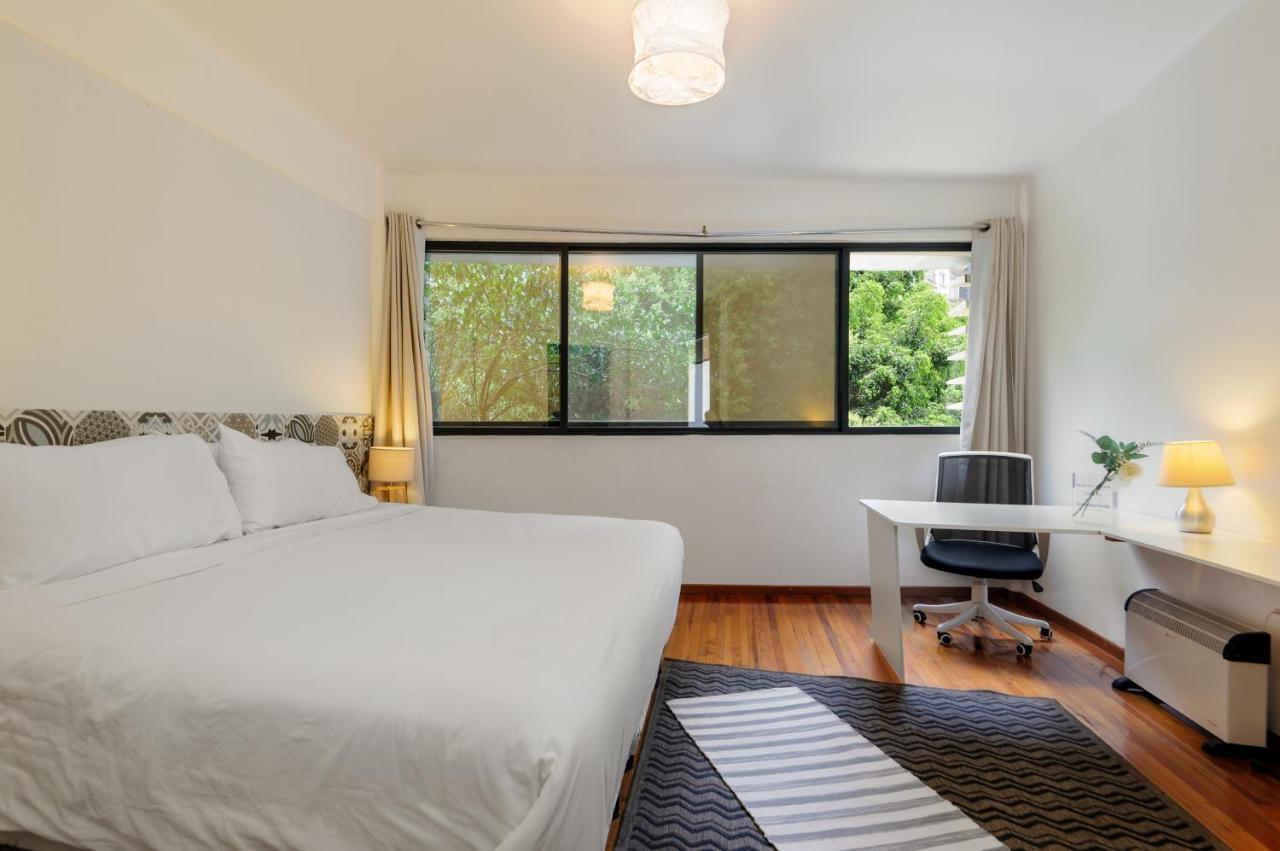 Polanco Masaryk Flat - 3