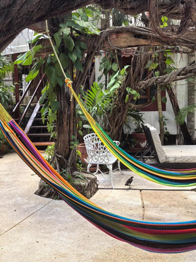 Eco-hotel El Rey del Caribe - 4