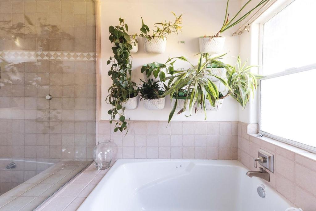 Mid-Century Modern Hillside Escape With Dome and Views - 3