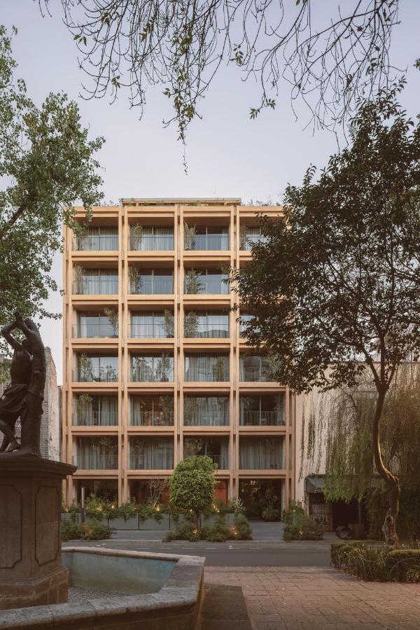 ONTO Alvaro Obregon Mexico City - 2