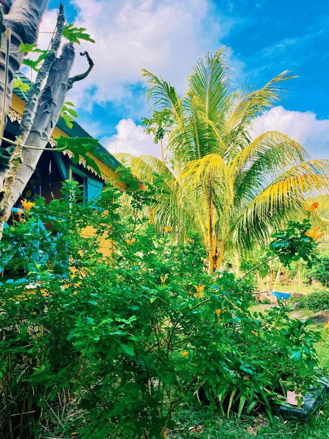 Tropical Wooden Lodge - 3