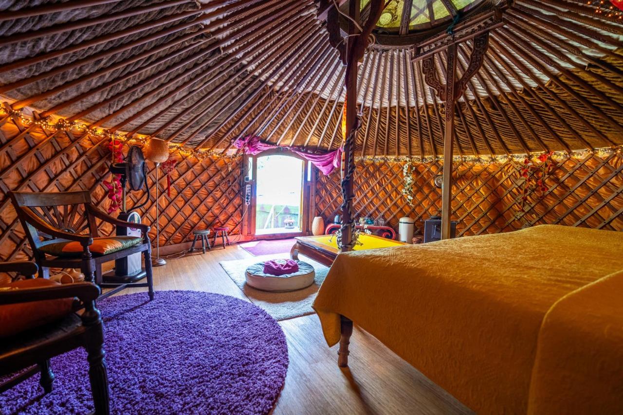Reijgershof - Yurt Experience with garden view - 2