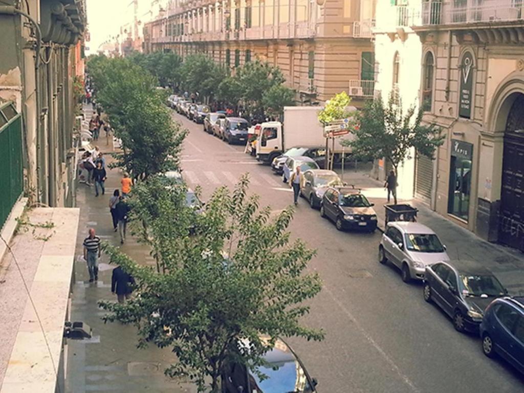 Sansevero La ca de pitor - 2