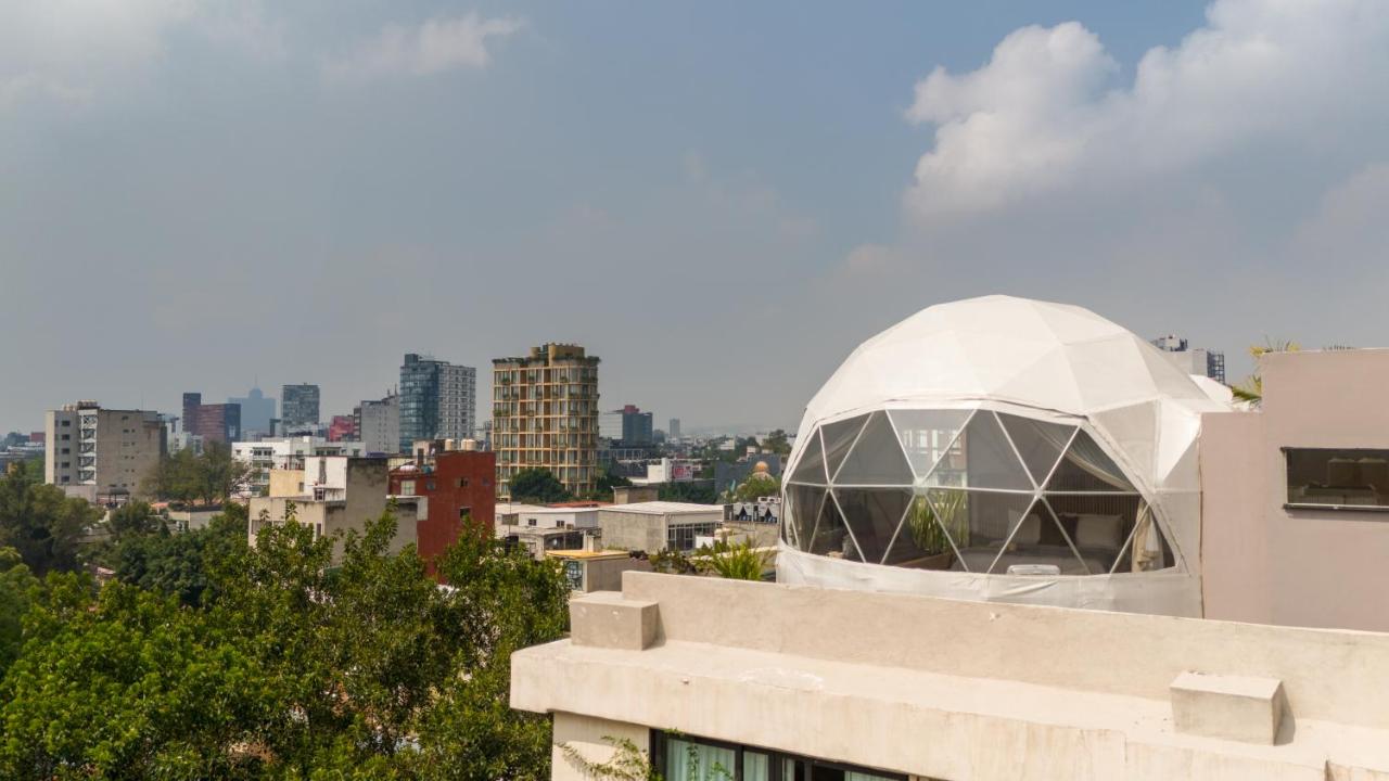 Umbral Sky Domes in Roma Norte - 3