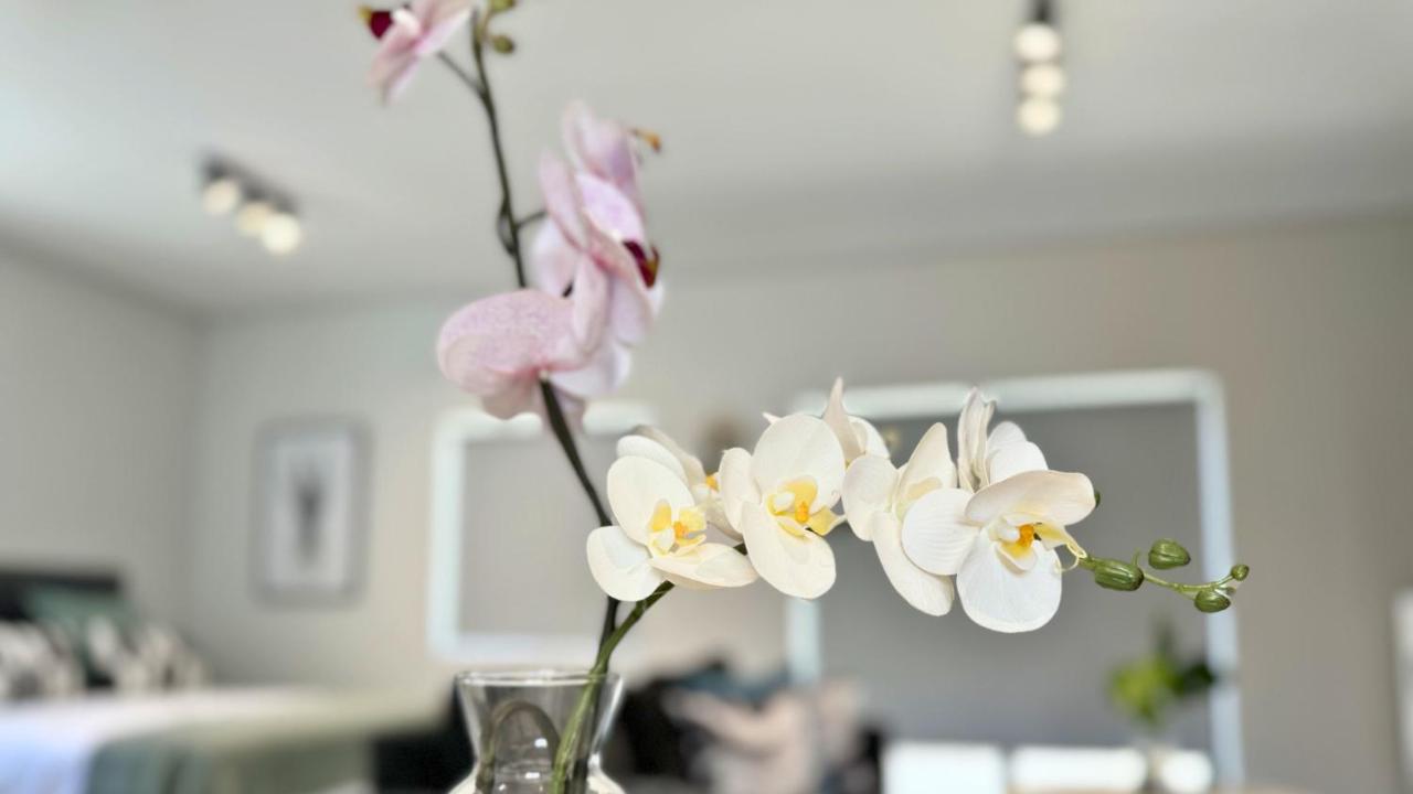 Obs Centre The Lookout - 2