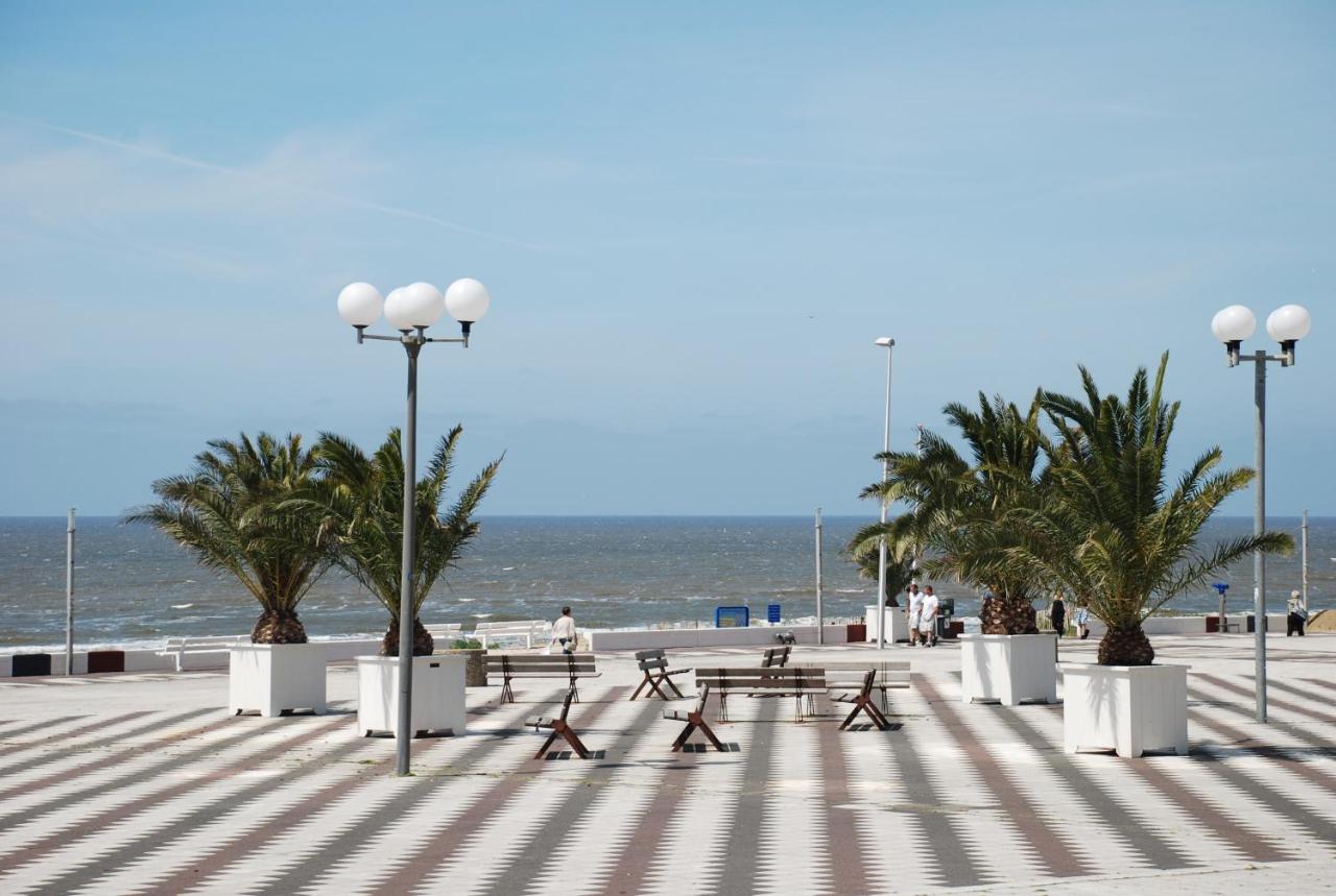 Beach: Palace Hotel Zandvoort