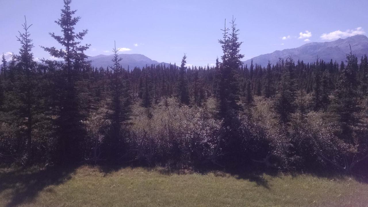 Alaskan Chateau B&B — photo 22