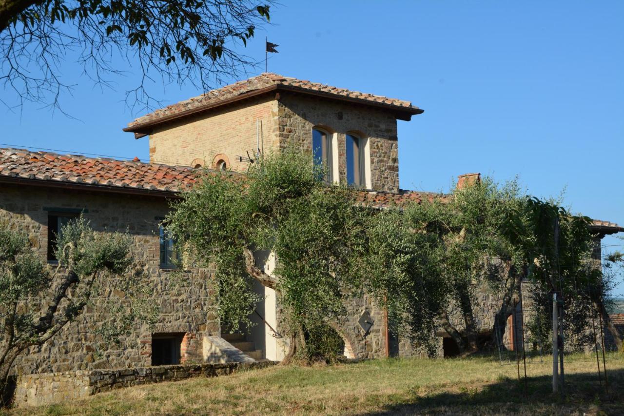 Tenuta Piecorto