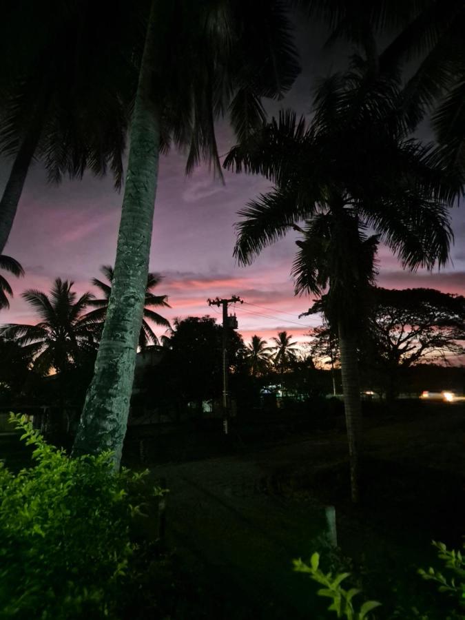 Navo Apartment Homes - 5