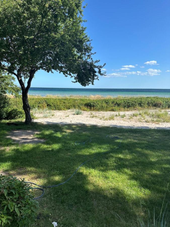House direct to beach - 5