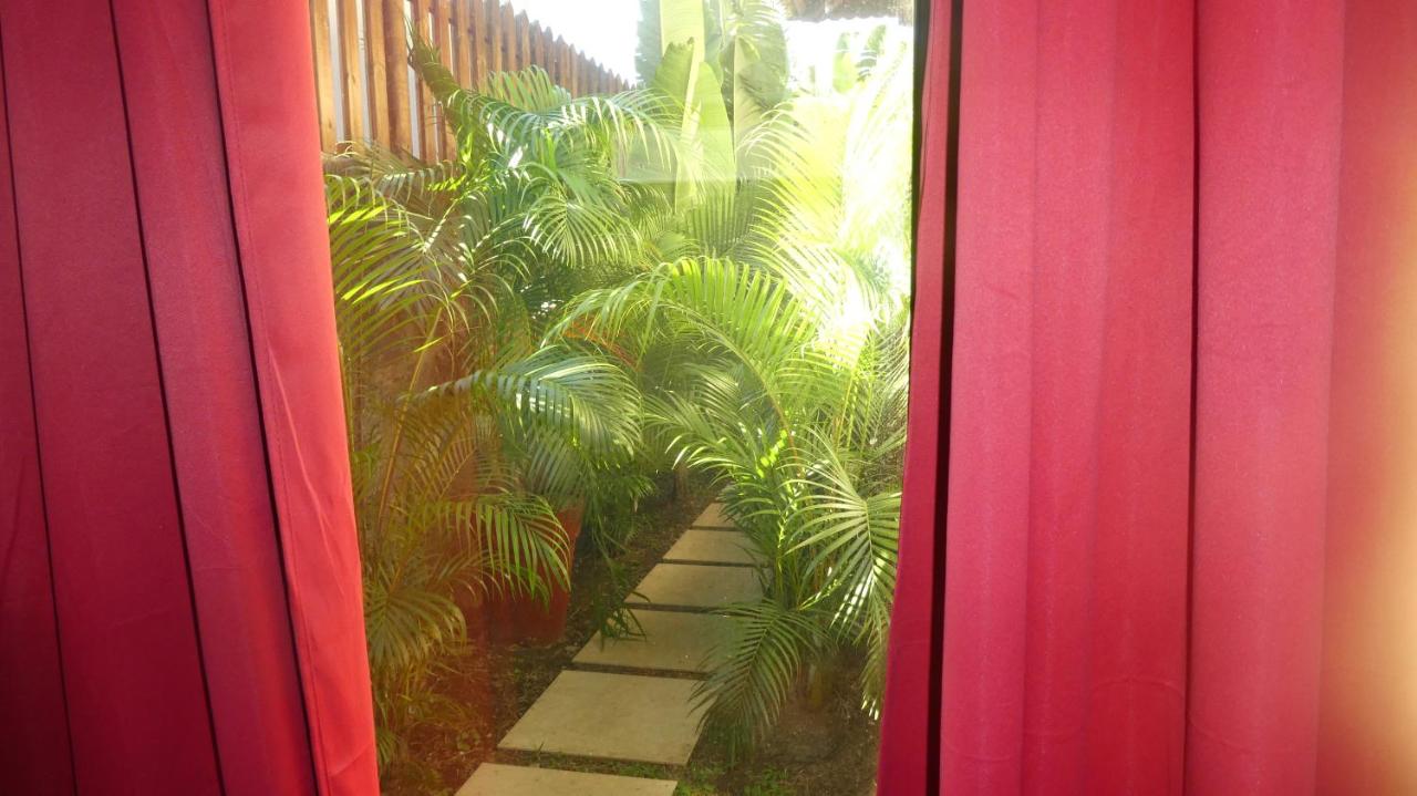 Studio le Dauphin du Lagon Bleu - Grand Baie - 5