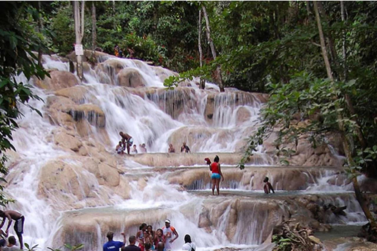 Hospitality Expert HALF HILL 1BR Pool Beach - 4