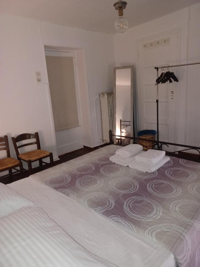 The monumental house - 2