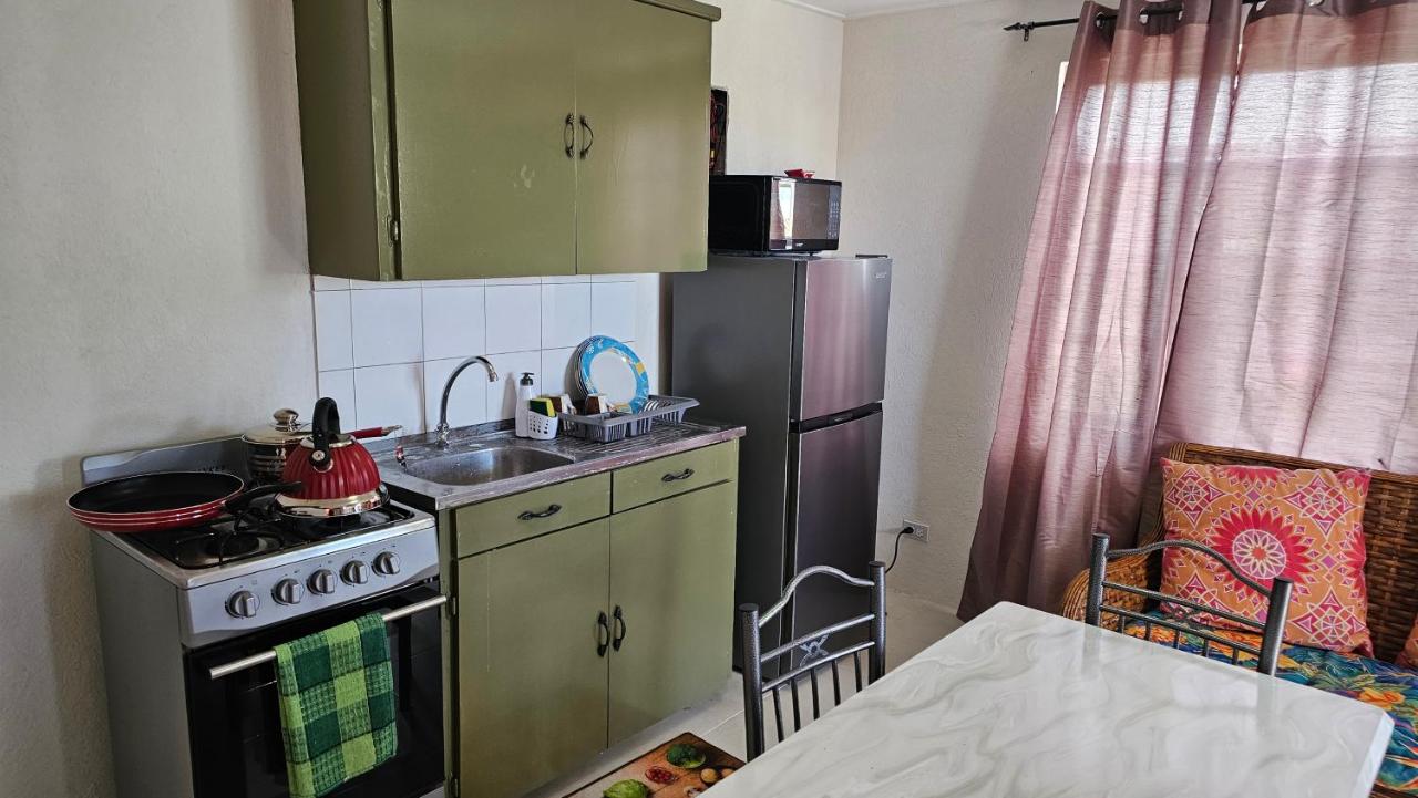 Cozy 1-Bedroom Apartment Near Botanical Gardens - 4