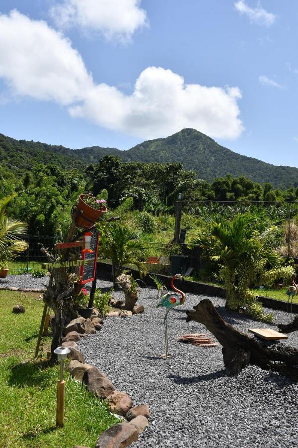 O Logis du Morne Jacob "COLIBRI", Le Morne-Rouge Martinique - 5
