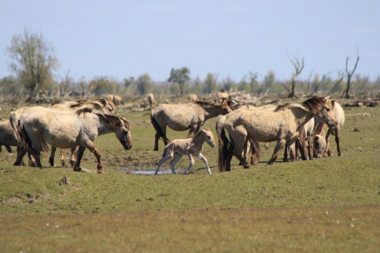 Casa Mirador Sleep Inn - 4