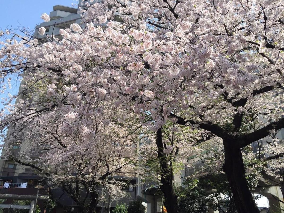 Building A101 / Vacation STAY 1276 - 4