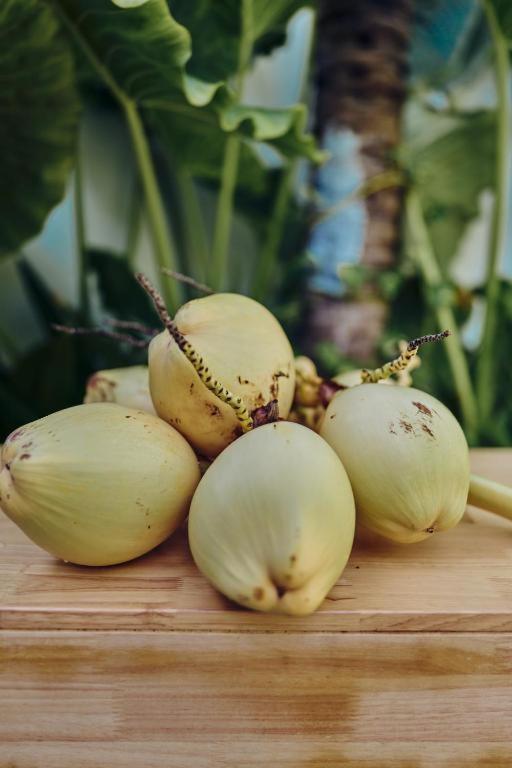 Equator Sandy Beach - 3