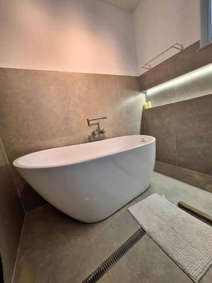 Rio Habitat - Djalma Ulrich - 2