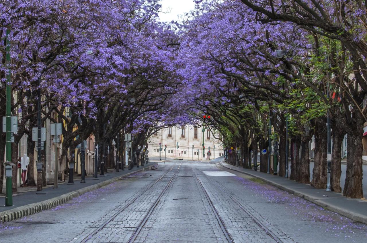 Hermitage Castelo - Casa Chafariz - 5