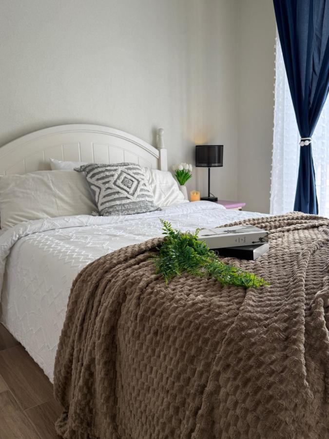 apartment in downtown Mexico City - 2