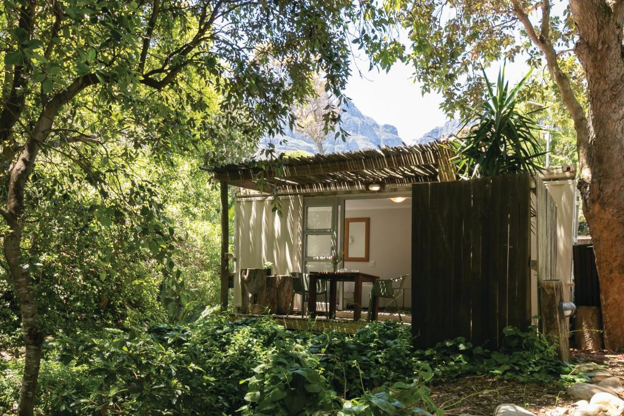 Camps Bay Forest Pods - 2