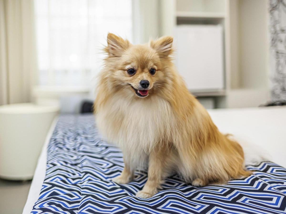 ibis Styles Rio de Janeiro Botafogo - 5