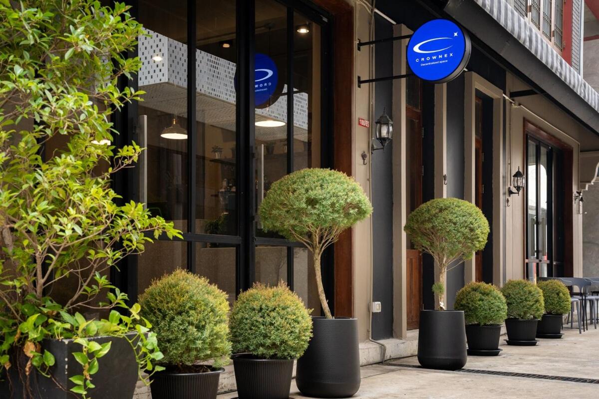 Crownex Studio Deluxe - 2