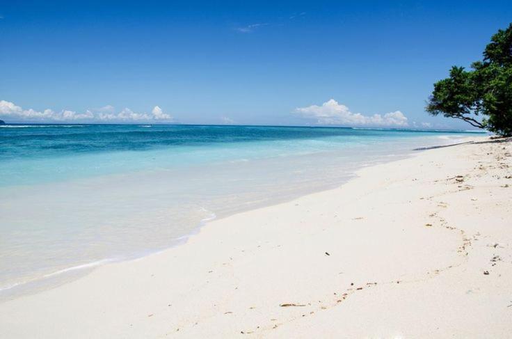 Portia beach grand 2 - 5