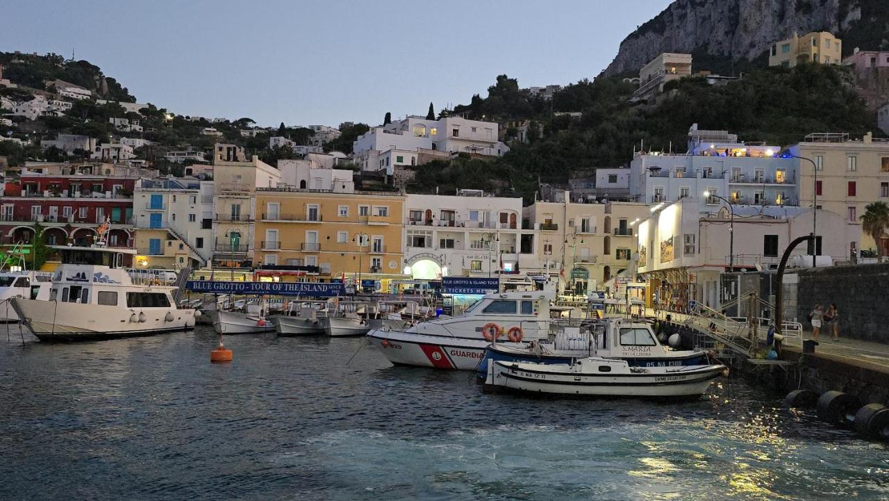 Capri Aquarium Family - 4