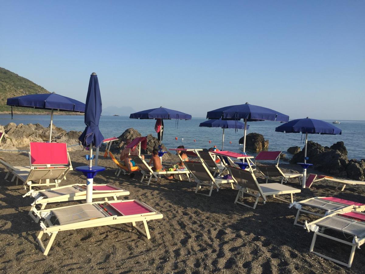 Hotel Mediterraneo photo
