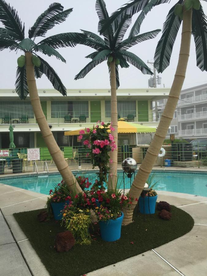 Caribbean Motel — photo 21