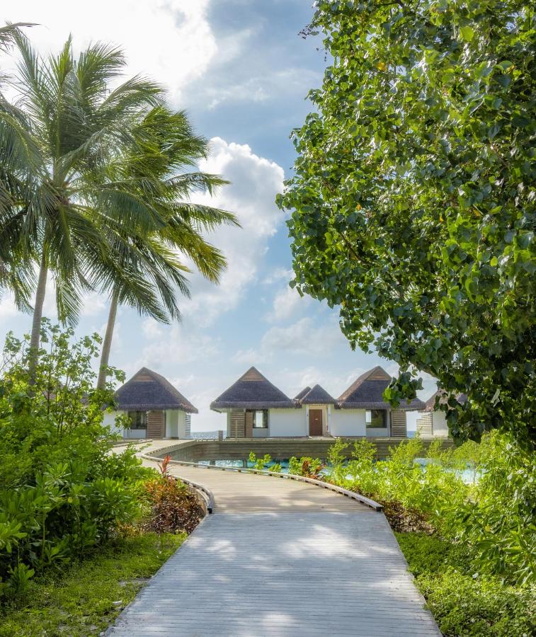 dusitD2 Feydhoo Maldives - All Inclusive Resort - with Free Transfers - 4