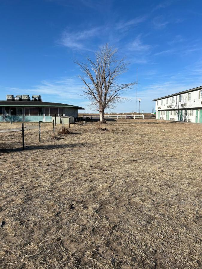 Budget Inn — photo 5