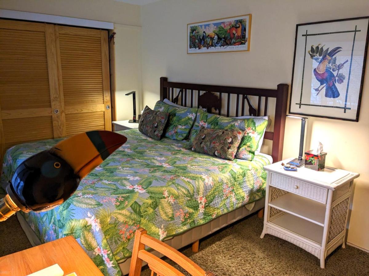 Library Bed & Breakfast — photo 5