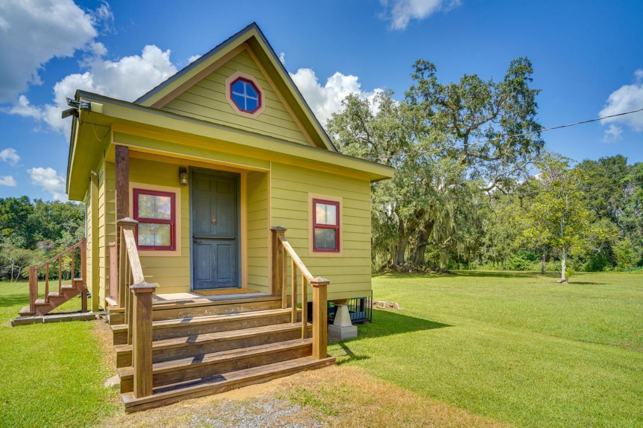 Bayou Teche Guest Cottage — photo 9