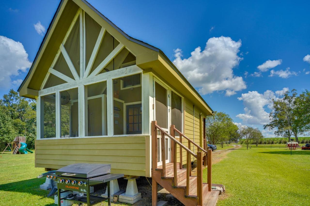 Bayou Teche Guest Cottage — photo 20