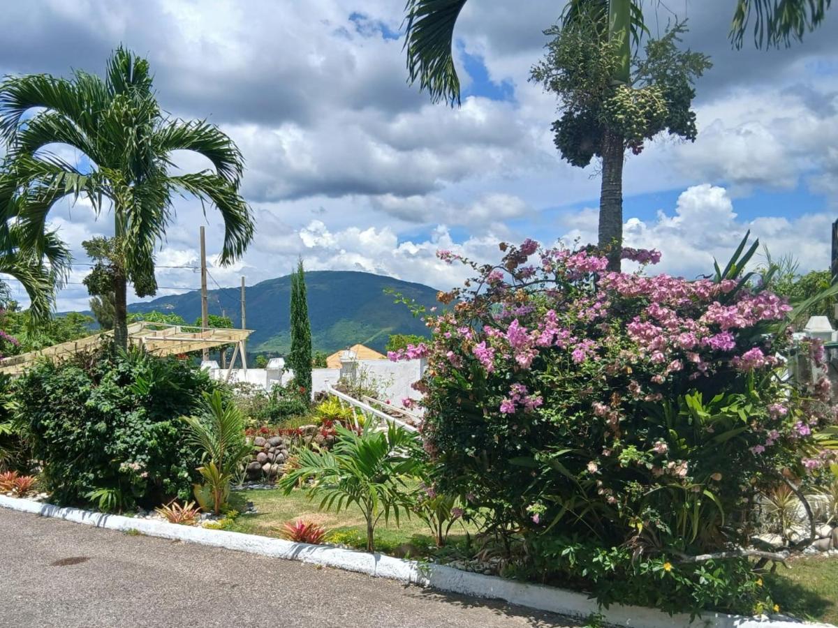 Mandeville Hideaway - 4