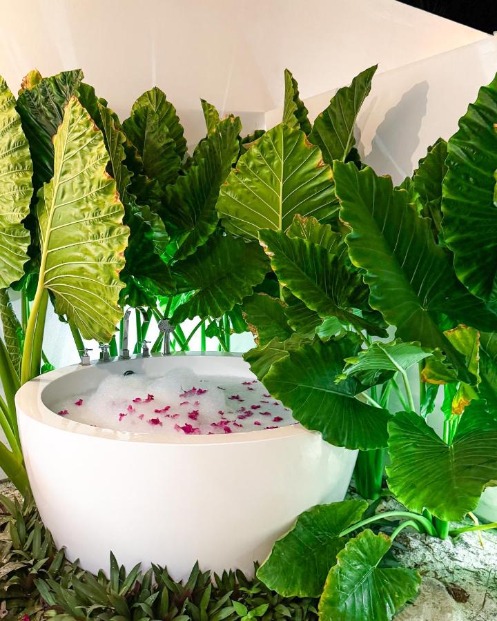 Tropicana Villas Maldives - 3