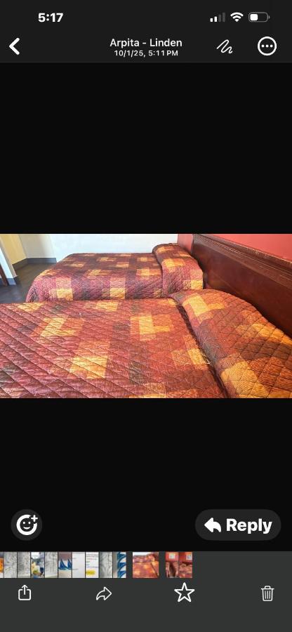 Linden Motor Inn — photo 8