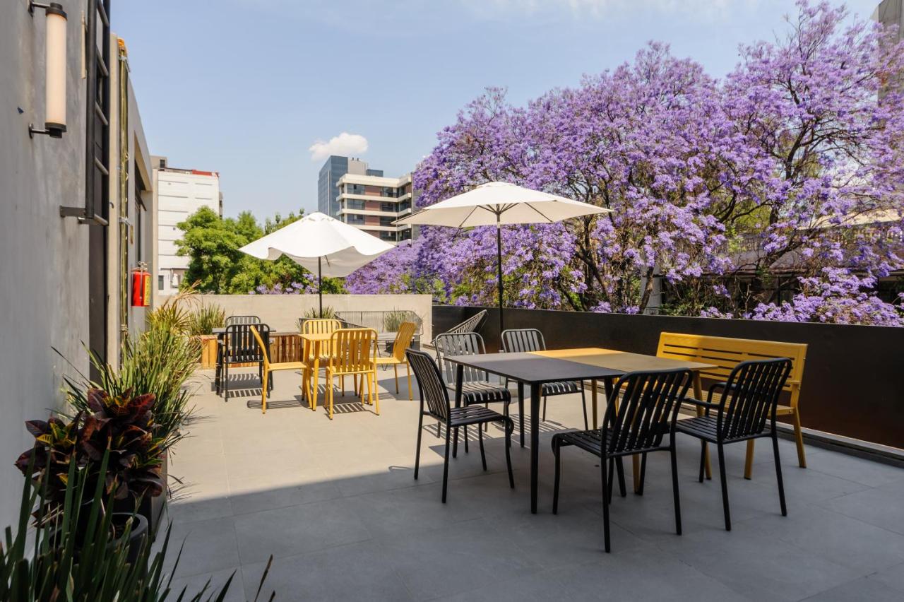 Lamartine 205 by Wynwood House