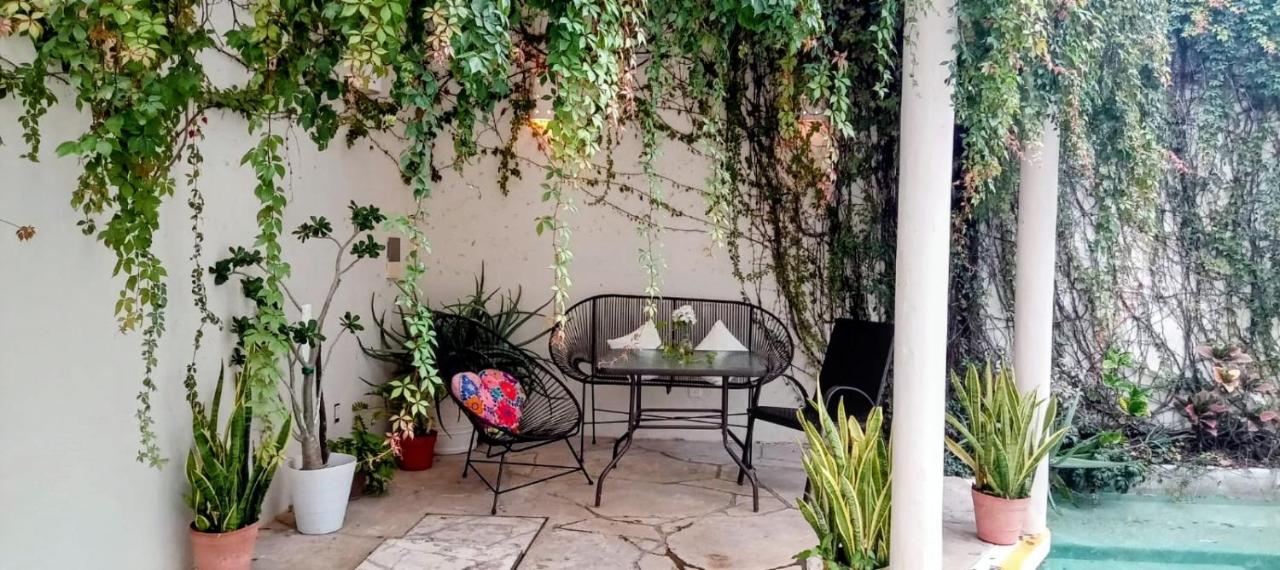 Bed and Breakfast Pecarí — quarto