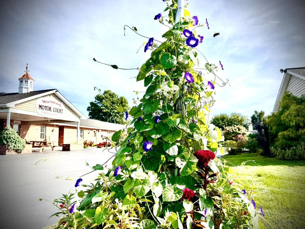 Weathervane Motor Court — photo 18