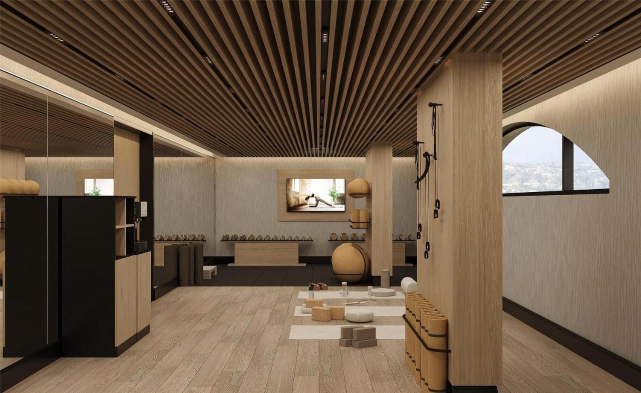 Radisson Hotel Amsterdam Schiphol Airport Hoofddorp - 5