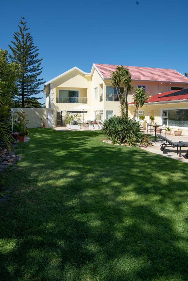 Junior-Suite Merlot - 5