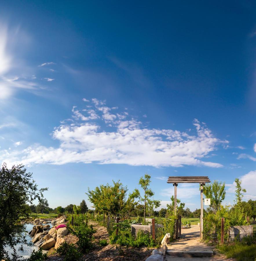 Temecula Creek Inn — photo 9