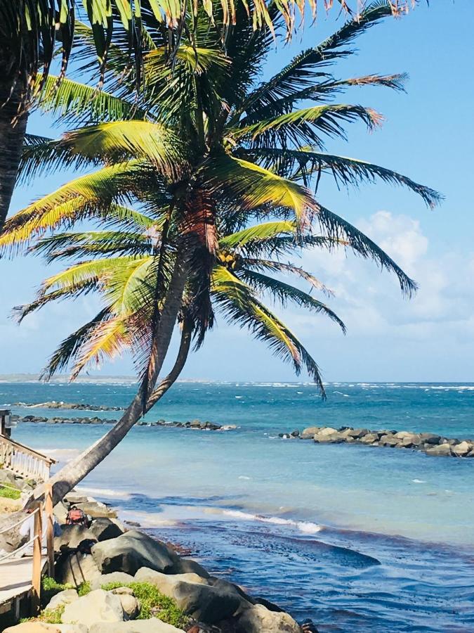 Spacious 2-Bedroom, 2-Bath Apartment 5 Mins to Sandy Beach & Airport - 4