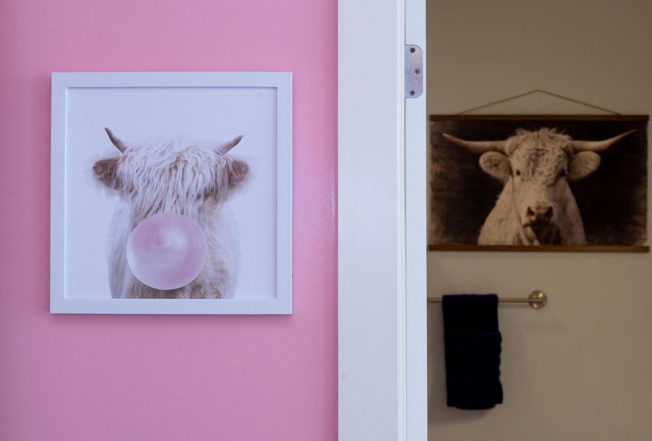 Lipstick & Boots 10 min to Broadway, Music Row, Fun - 3